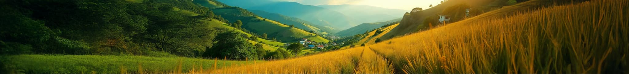 Haiti